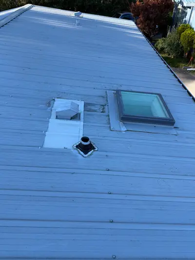 Campbell River metal roof with fan-vent flashing, a nearby skylight and separate pipe penetrations visible.