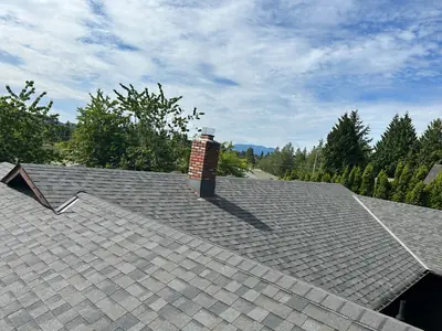 Grey shingle roof with intersecting ridges, metal valleys and a brick chimney, framed by trees and sky.
